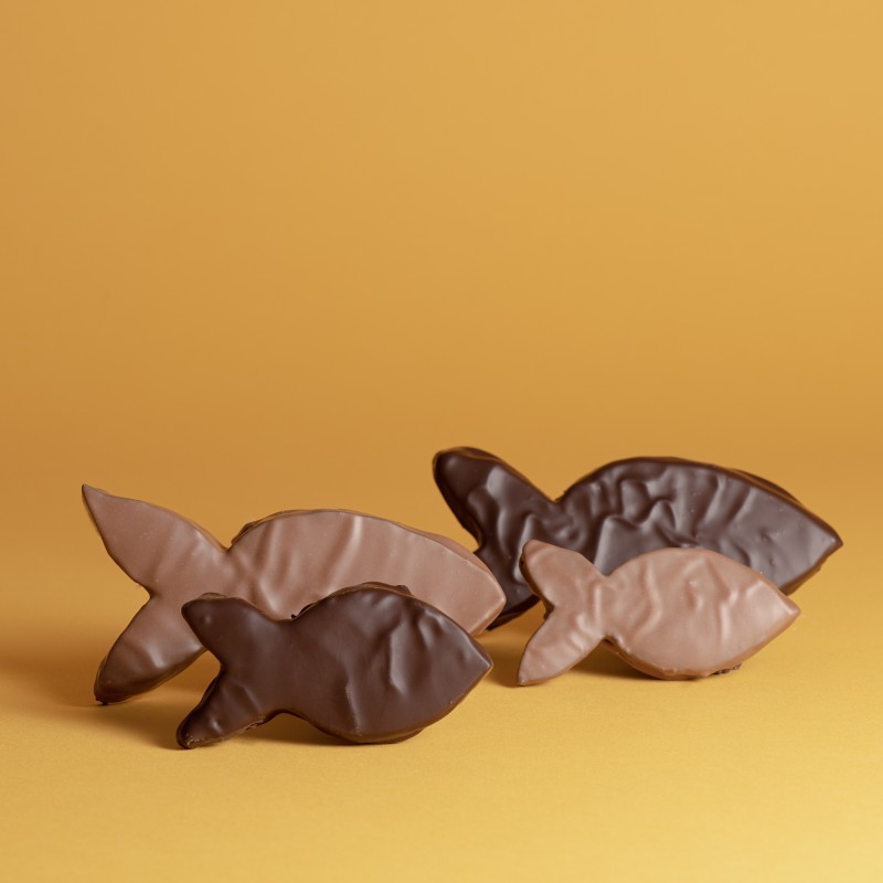 Poisson d'avril Fourrés praliné amande noisette chocolatier artisanal à bordeaux.