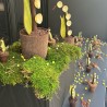 Vitrine avec des brins de muguet géant