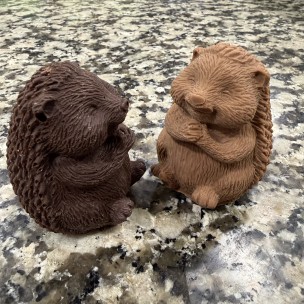 Choupisson praliné Lait ou...