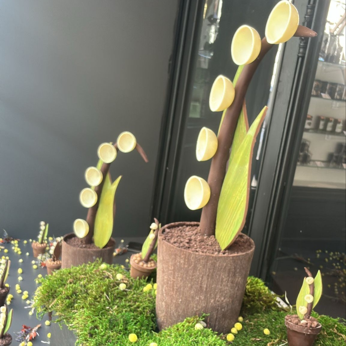 Vitrine muguet chocolat 1er mai 2024